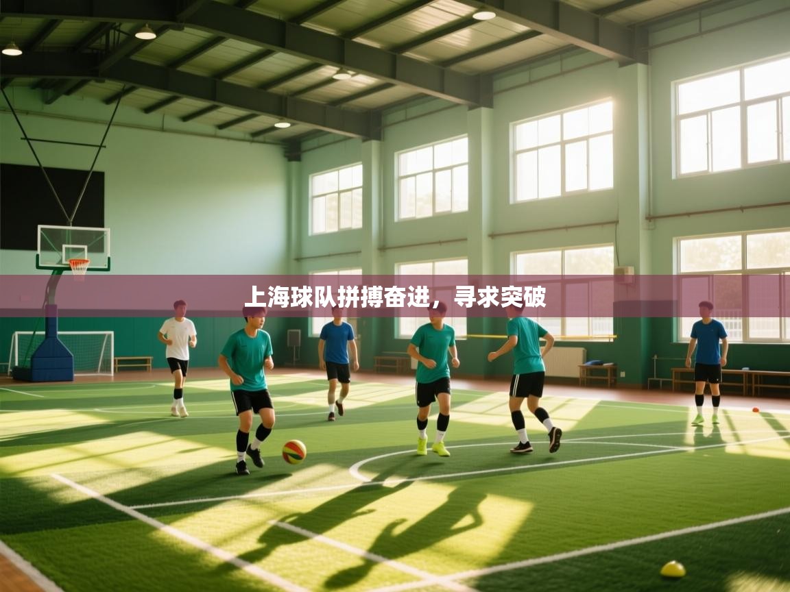 上海球队拼搏奋进，寻求突破  第2张