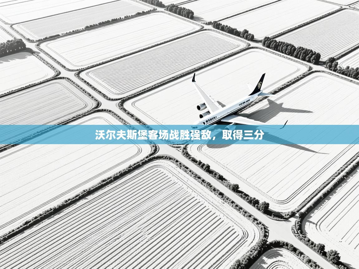 沃尔夫斯堡客场战胜强敌，取得三分  第1张