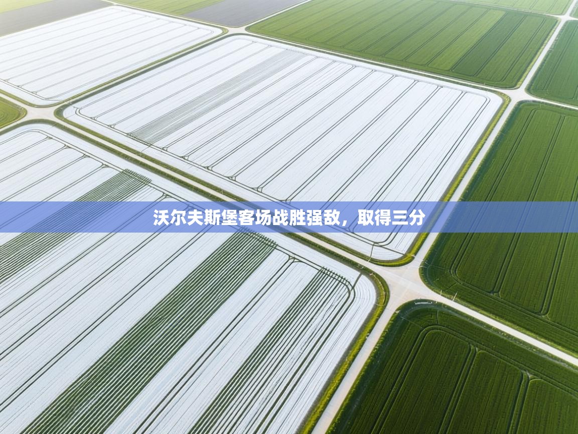 沃尔夫斯堡客场战胜强敌，取得三分  第2张