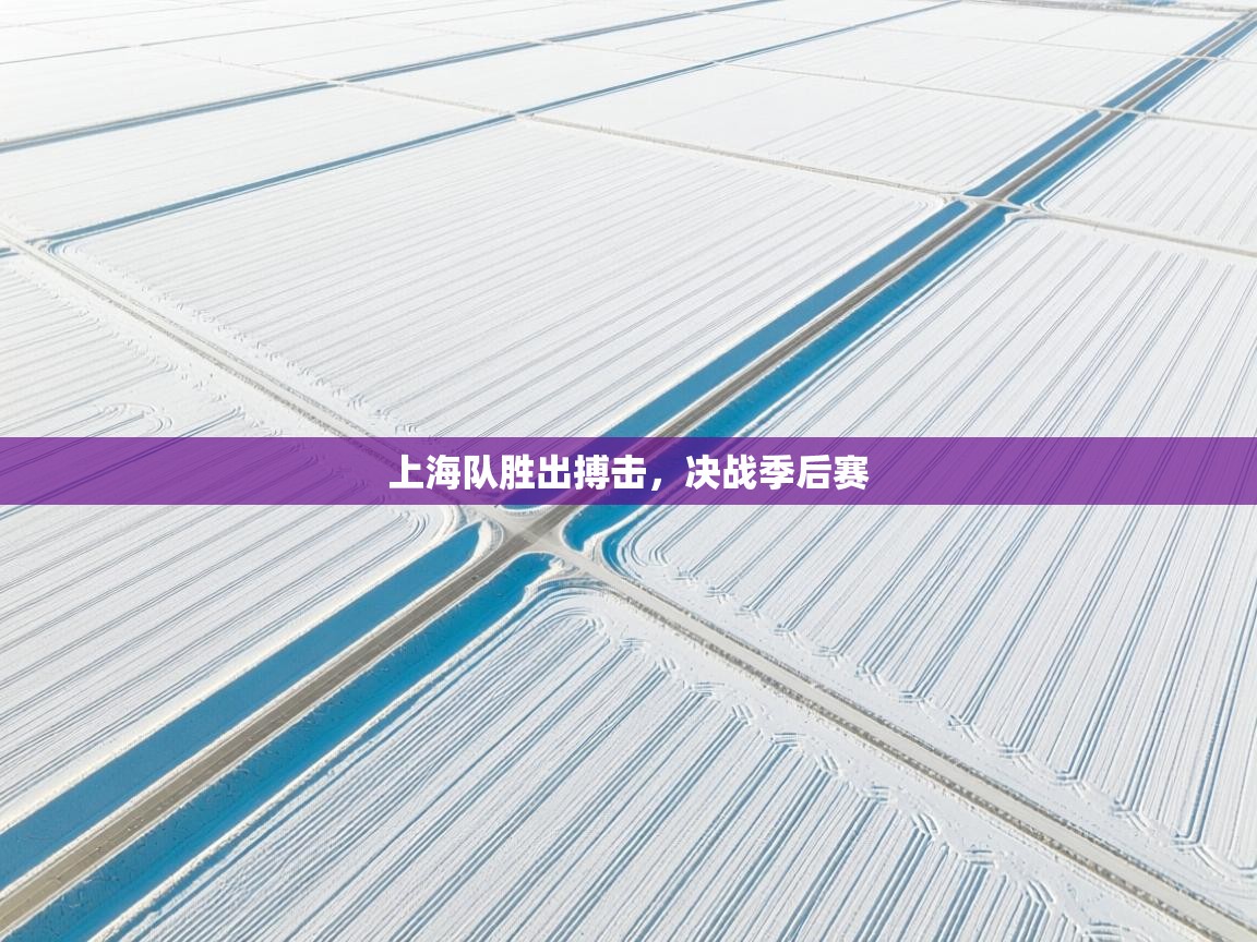 上海队胜出搏击，决战季后赛  第1张