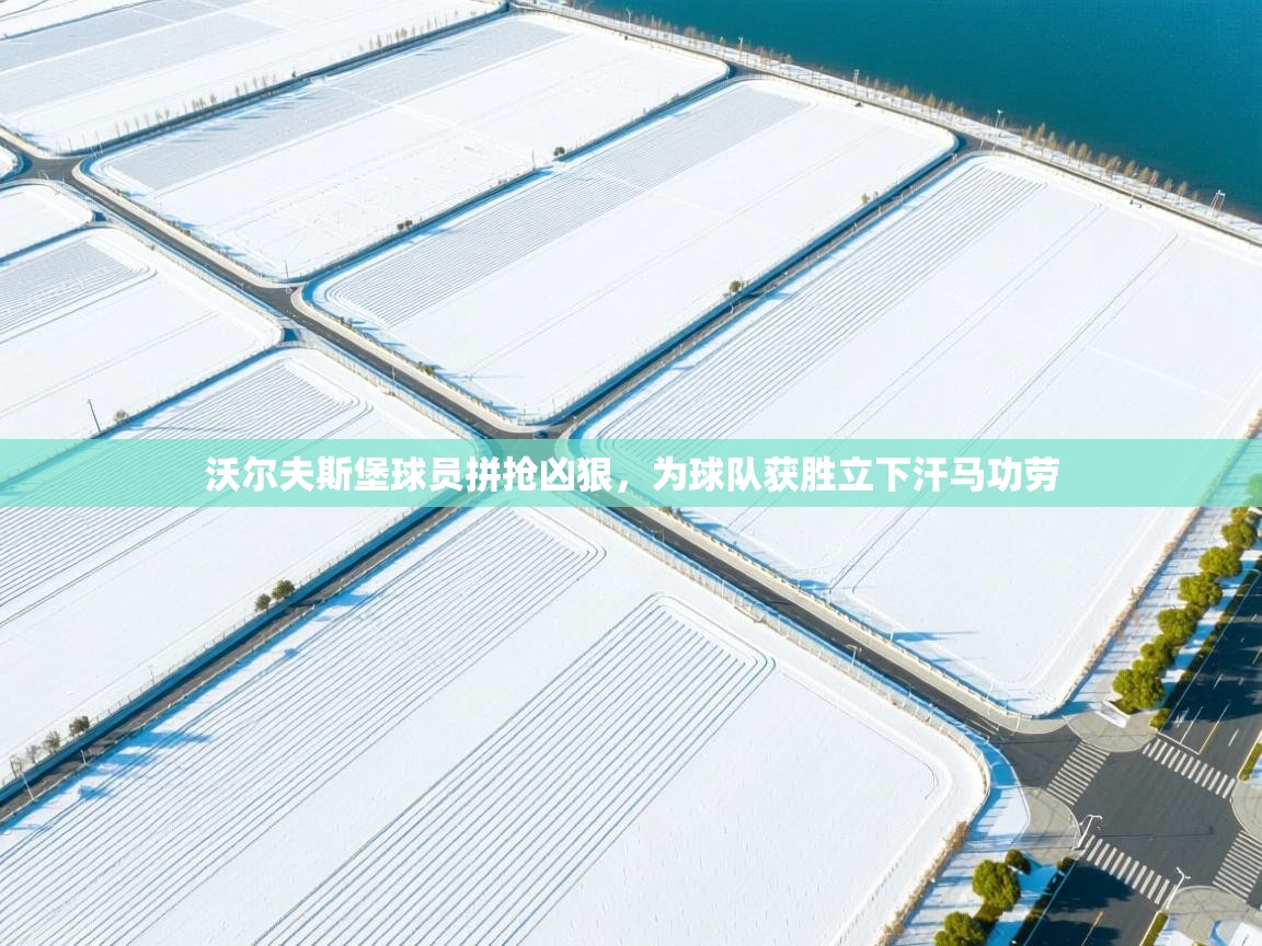 沃尔夫斯堡球员拼抢凶狠,为球队获胜立下汗马功劳