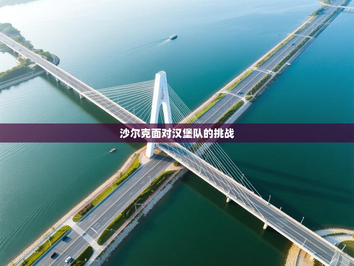 沙尔克面对汉堡队的挑战