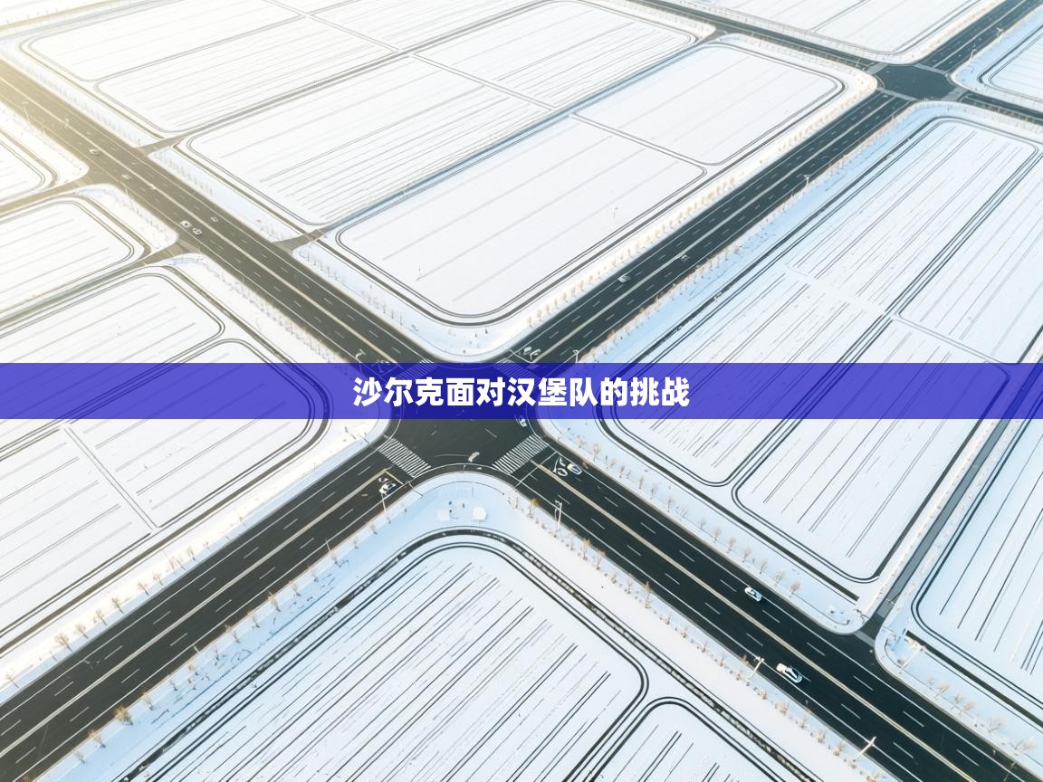 沙尔克面对汉堡队的挑战  第2张