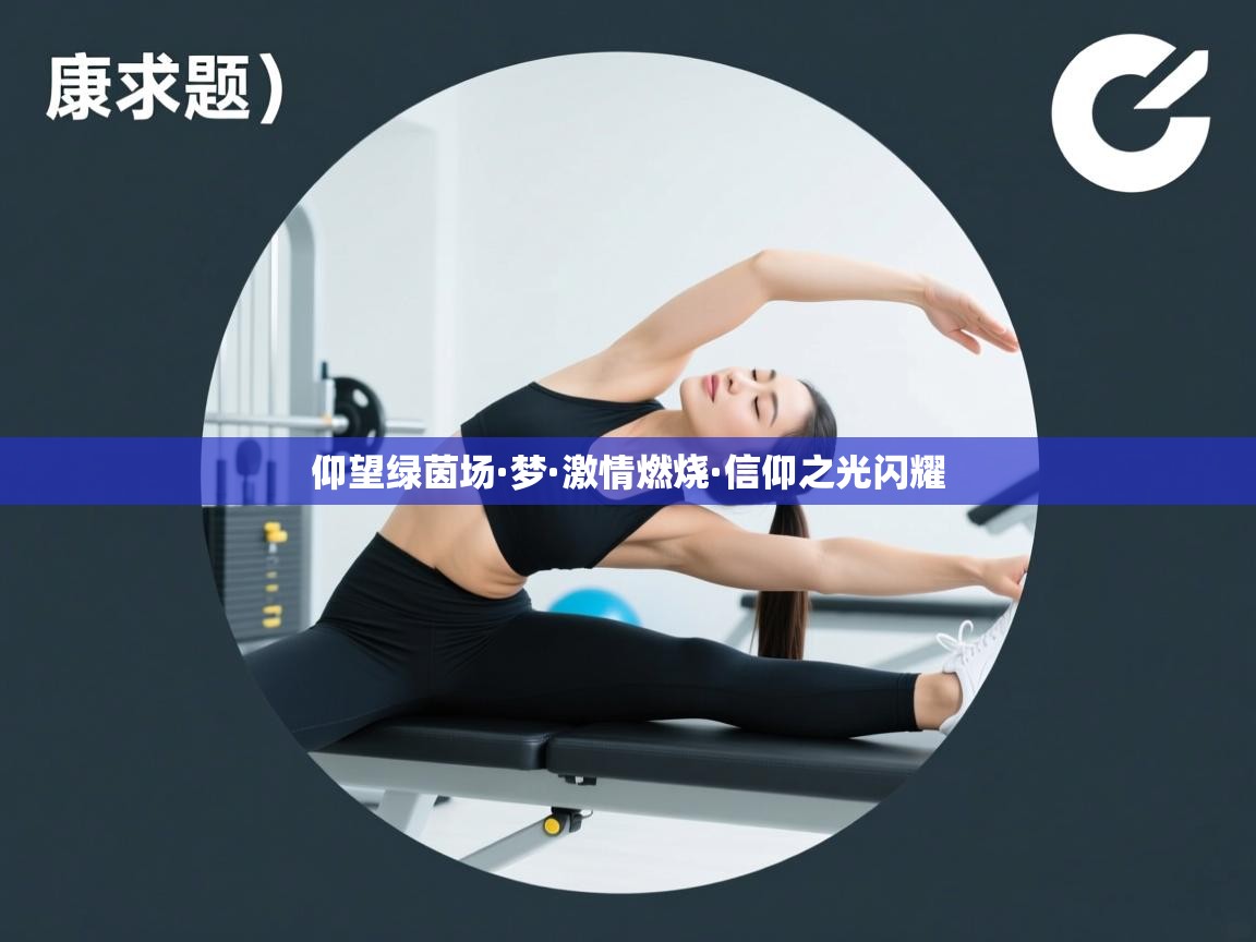 仰望绿茵场·梦·激情燃烧·信仰之光闪耀