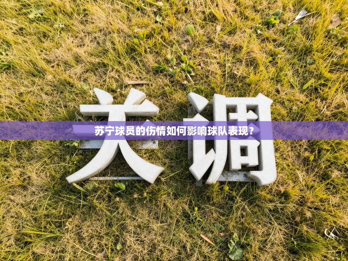 苏宁球员的伤情如何影响球队表现? 第2张