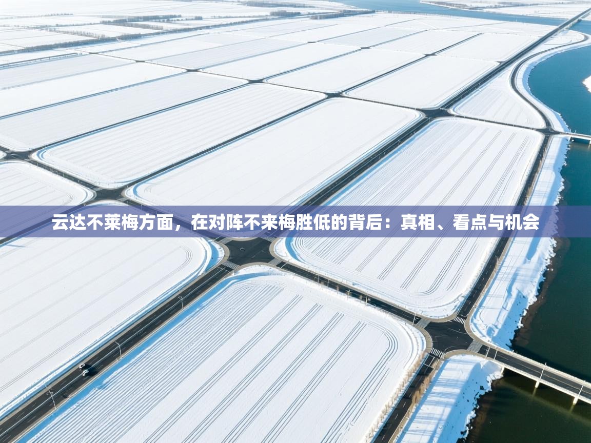 云达不莱梅方面,在对阵不来梅胜低的背后:真相、看点与机会 第2张