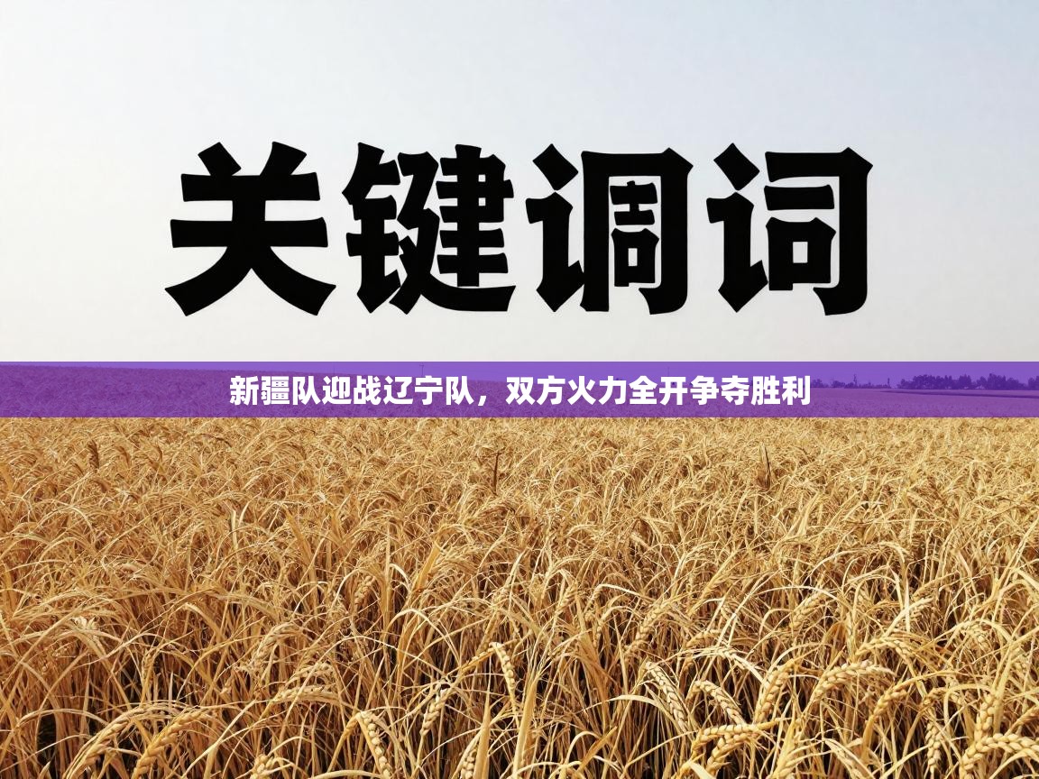 新疆队迎战辽宁队，双方火力全开争夺胜利  第2张