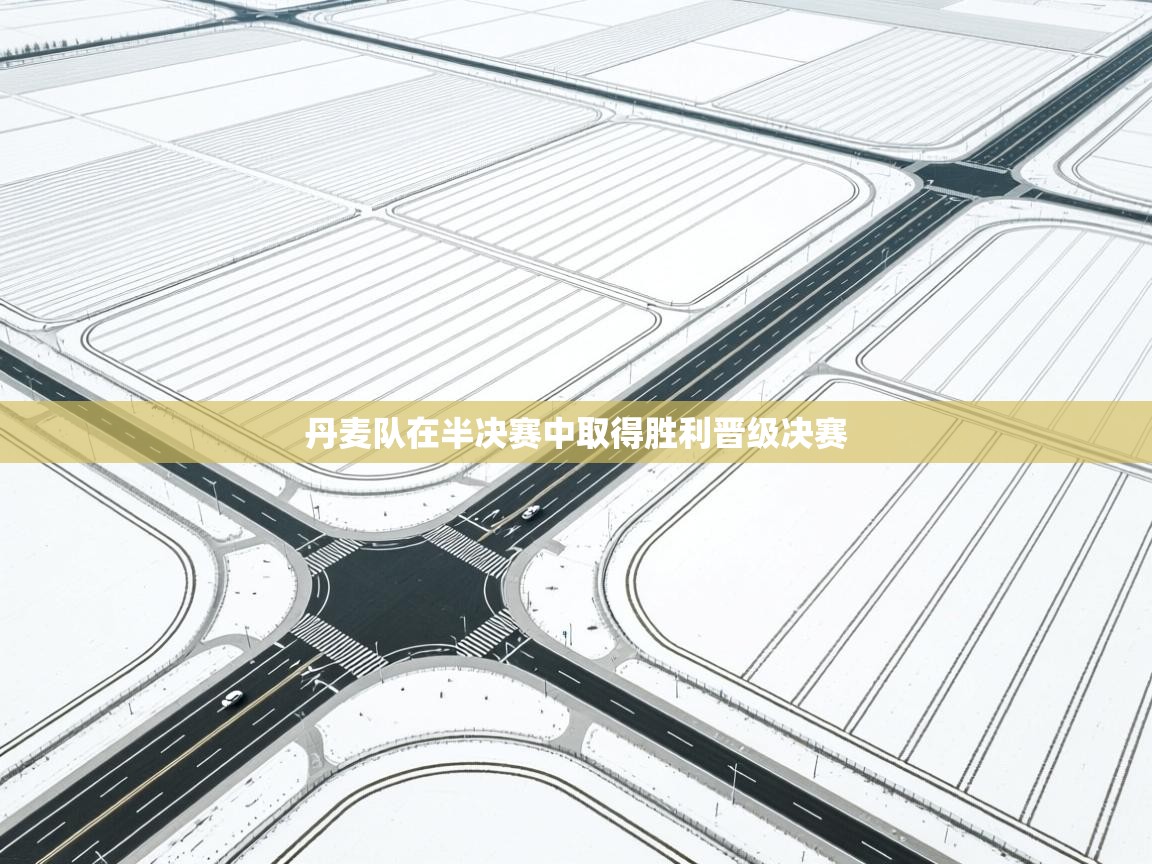 丹麦队在半决赛中取得胜利晋级决赛  第2张