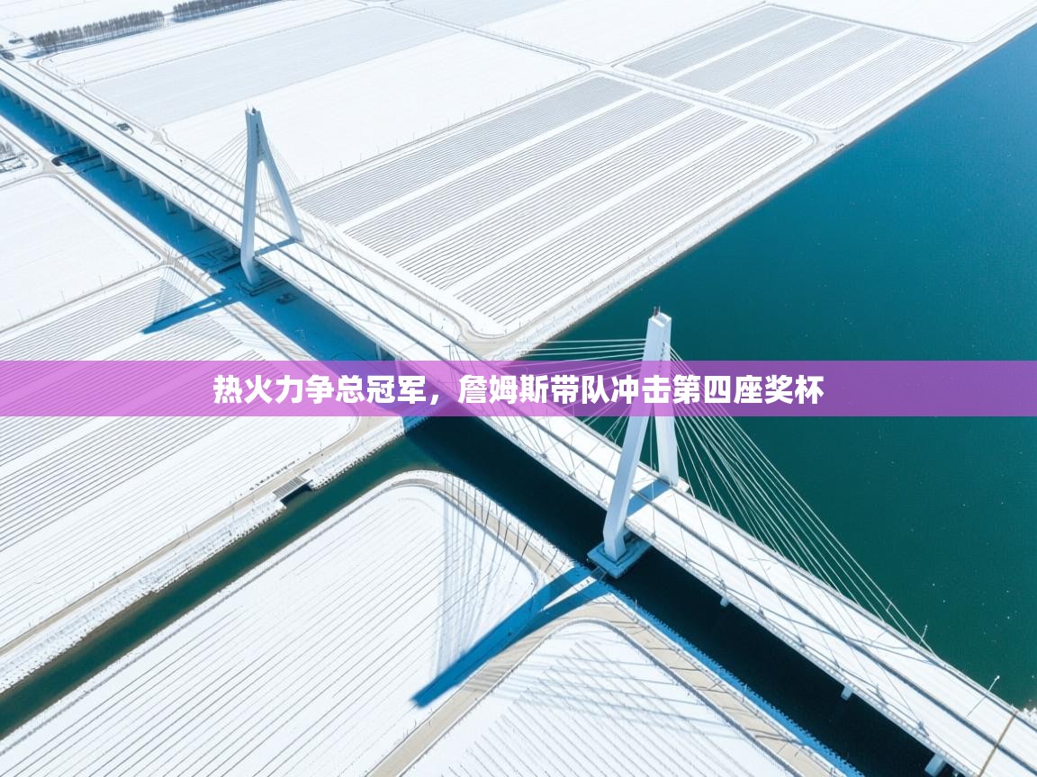 热火力争总冠军，詹姆斯带队冲击第四座奖杯  第2张